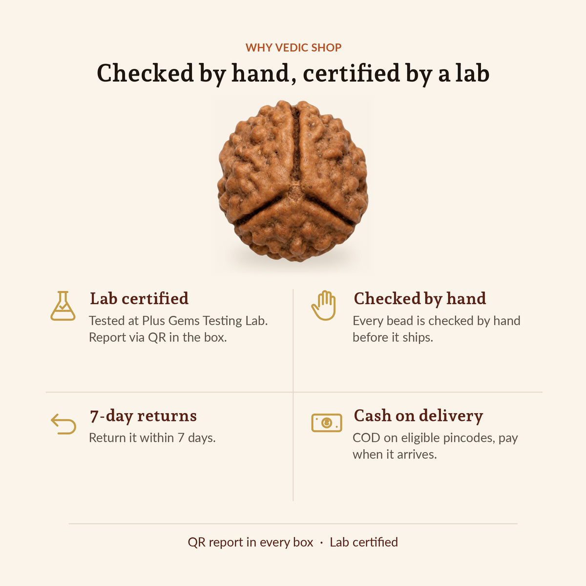 3 Mukhi Rudraksha (Nepal Origin, Lab Certified), why Vedic Shop