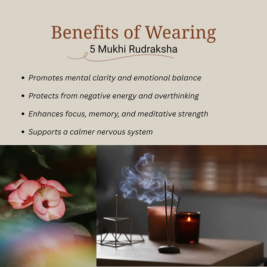 5 Mukhi Rudraksha | Lab Certified