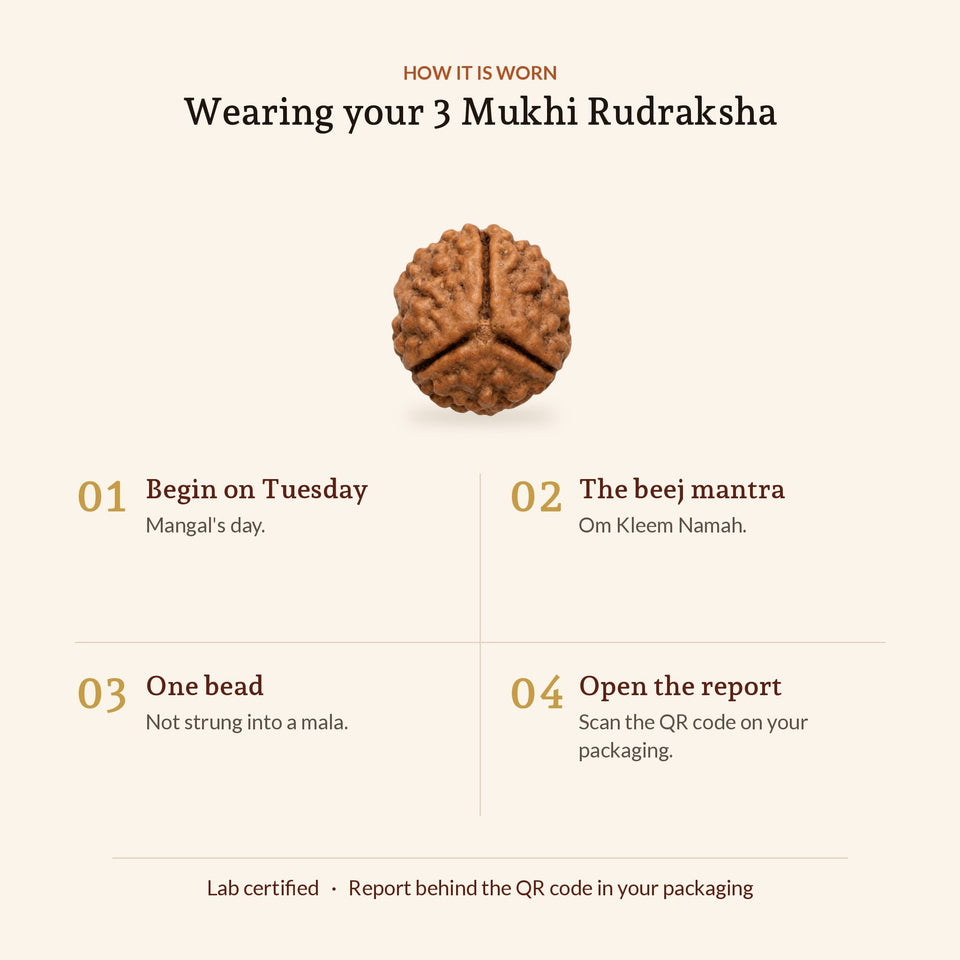 3 Mukhi Rudraksha (Nepal Origin, Lab Certified) - How it is worn