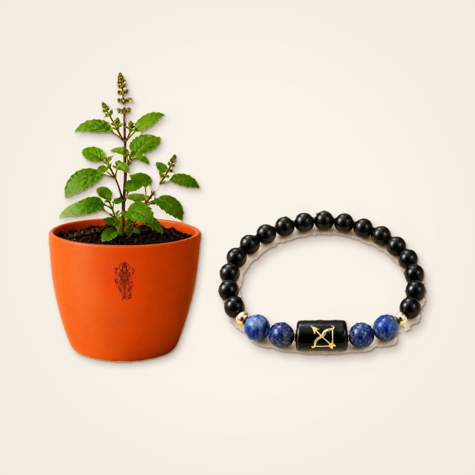 Tulsi plant in a glossy orange pot beside the Sagittarius rashi bracelet on a plain cream background