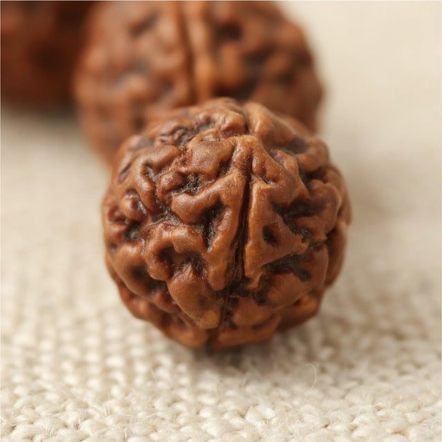 5 Mukhi Rudraksha Bracelet, close-up detail
