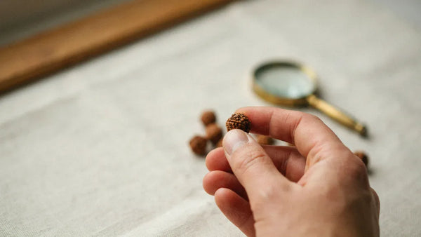 Hand holding a single rudraksha bead over cream linen with a magnifying glass behind