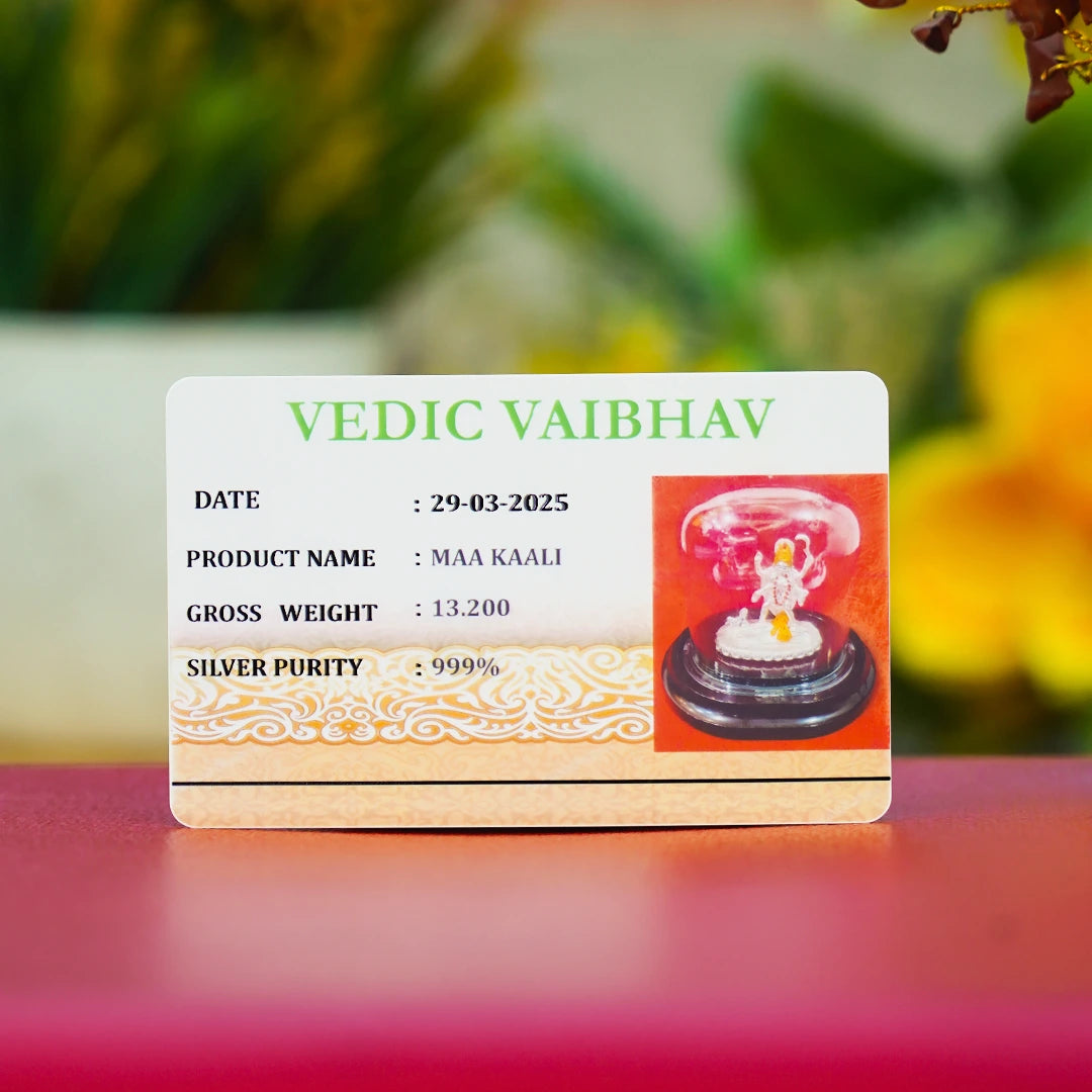 Maa Kaali Idol (999 Pure Silver)