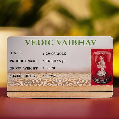 Silver Lord Krishna Idol