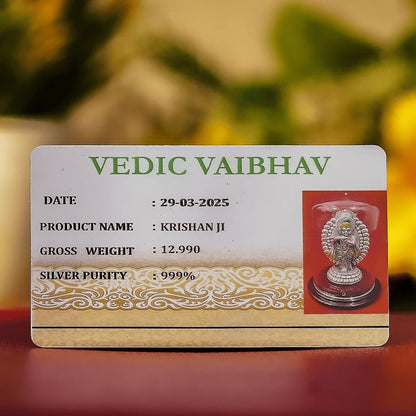 Lord Krishna Silver Idol