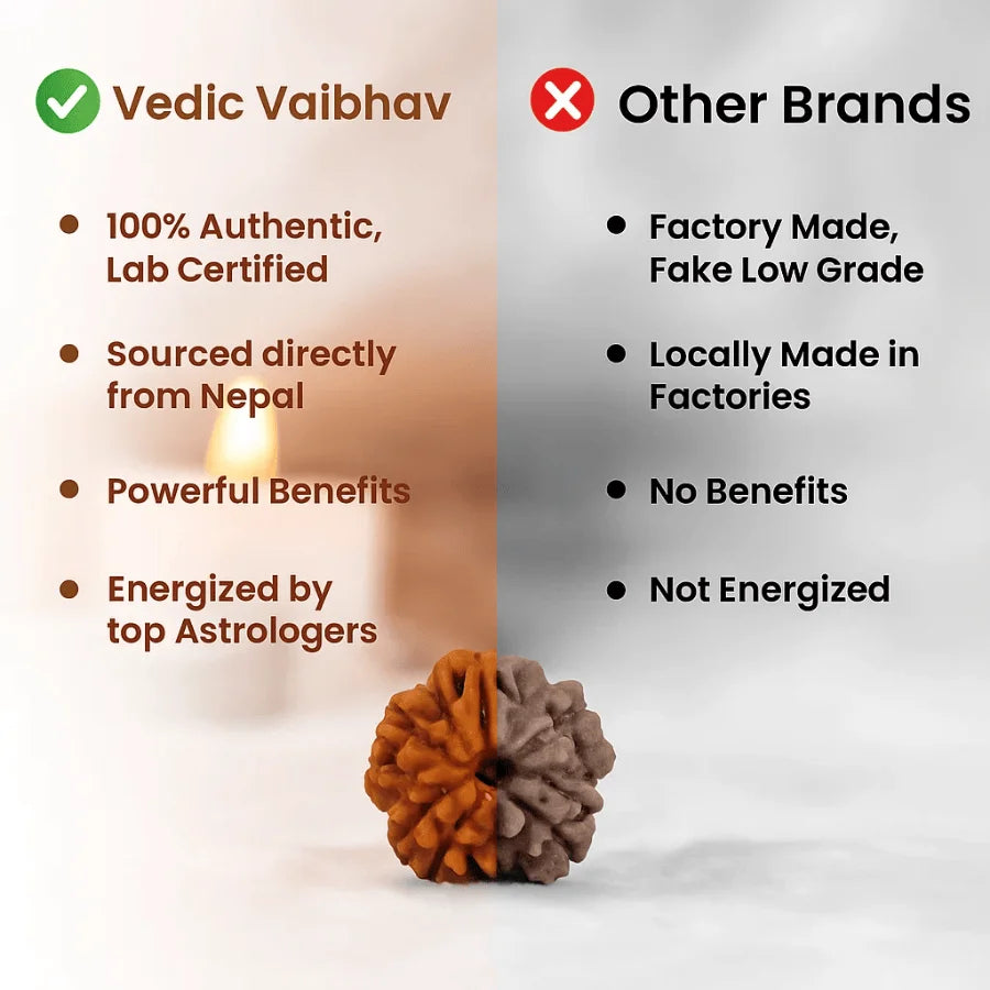 5 Mukhi Rudraksha Bracelet | LAB TESTED
