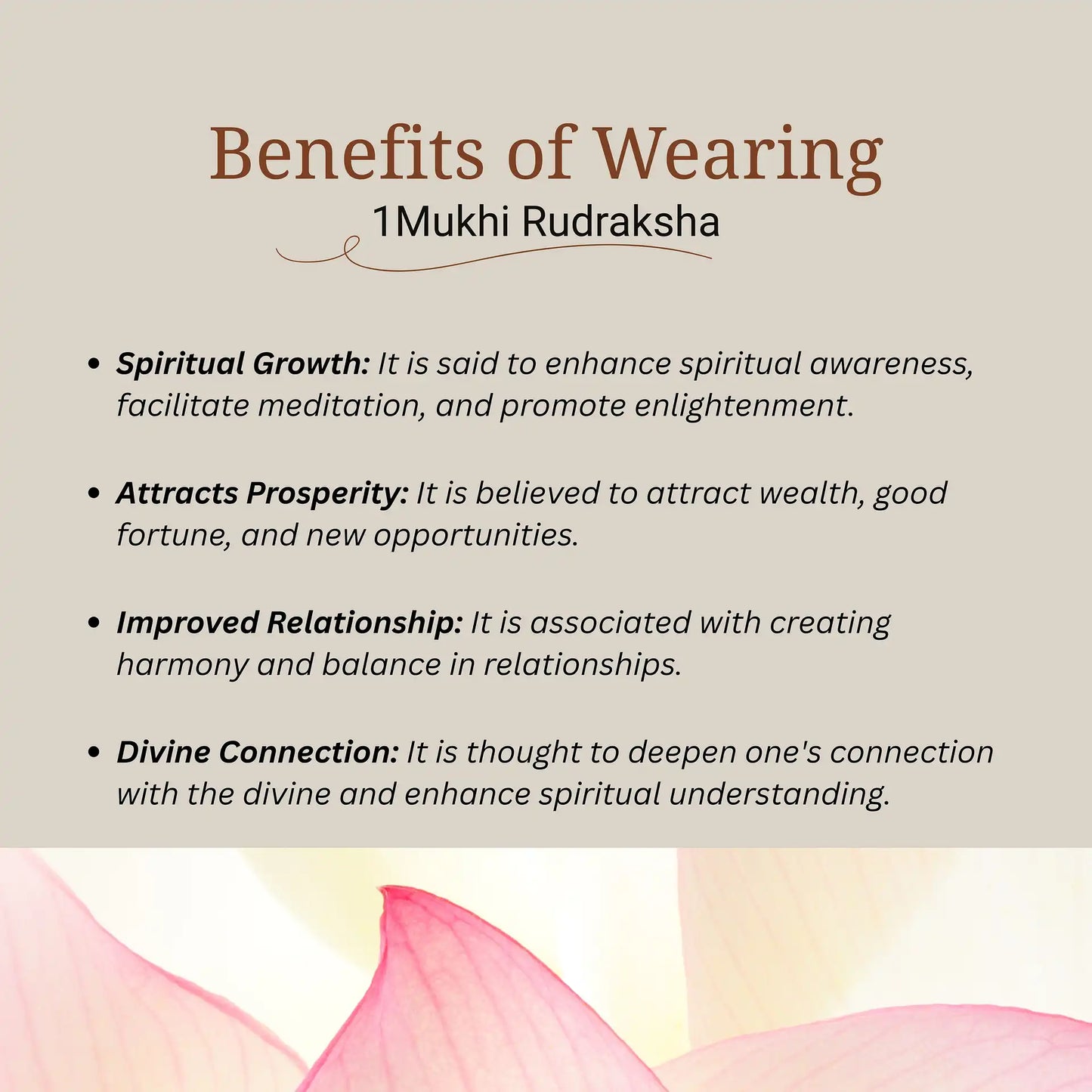 1 Mukhi Rudraksha | Lab Certified