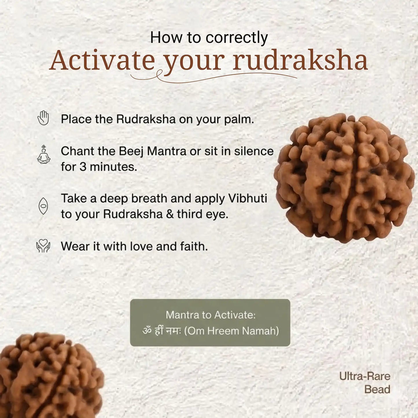 1 Mukhi Rudraksha | Lab Certified