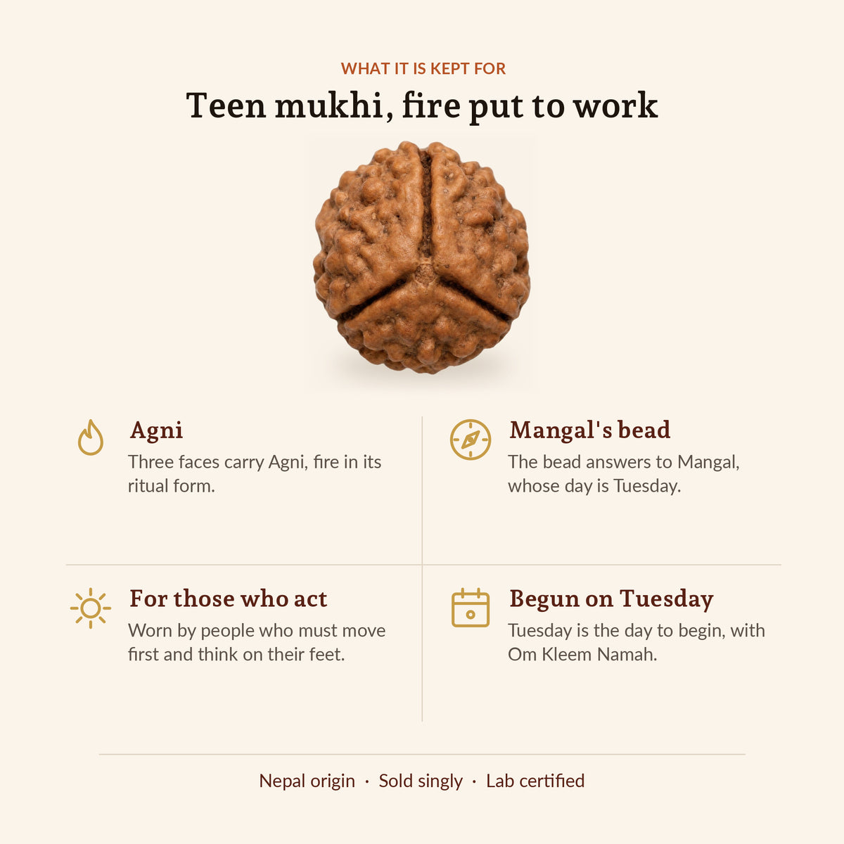 3 Mukhi Rudraksha (Nepal Origin, Lab Certified), what it is worn for