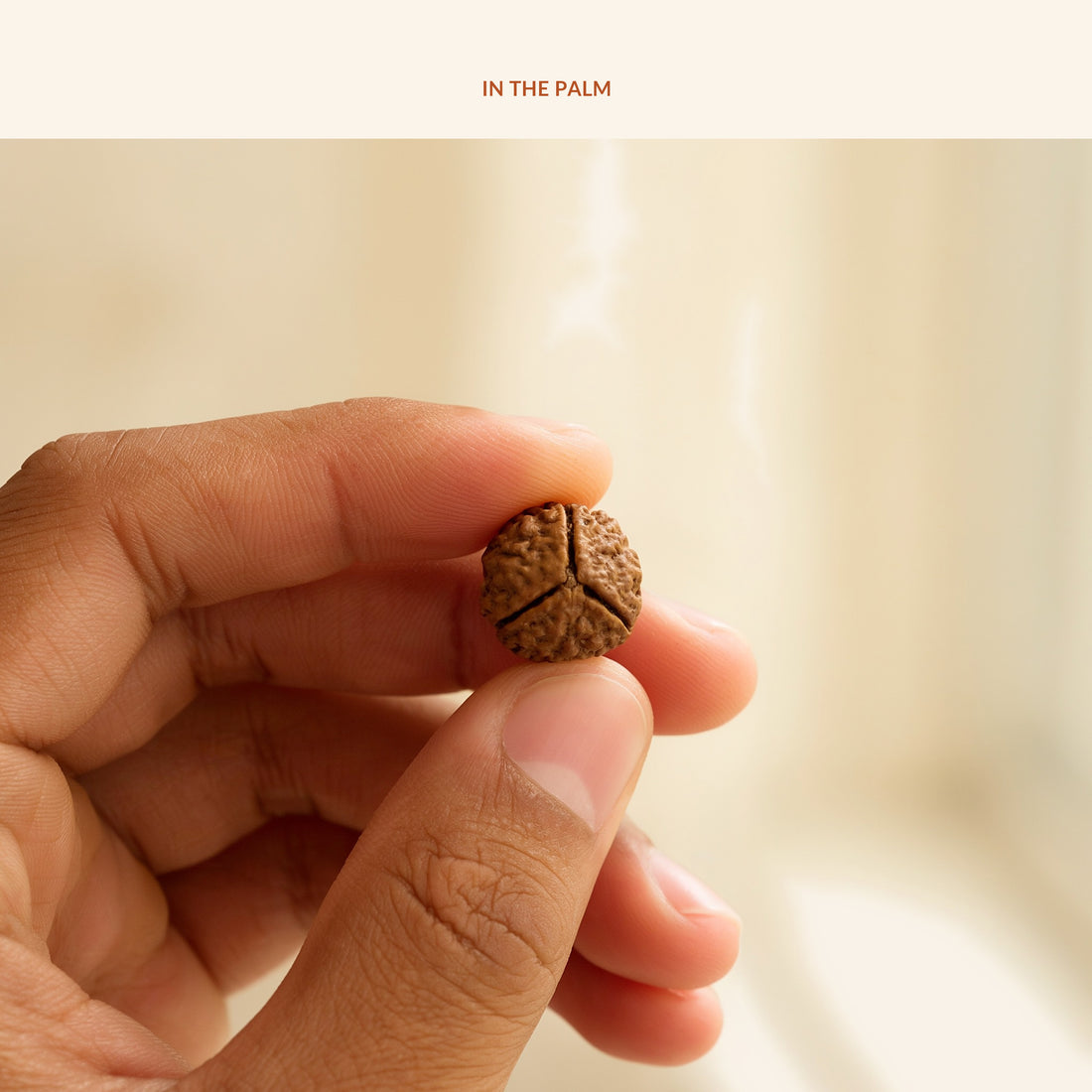3 Mukhi Rudraksha (Nepal Origin, Lab Certified), in use
