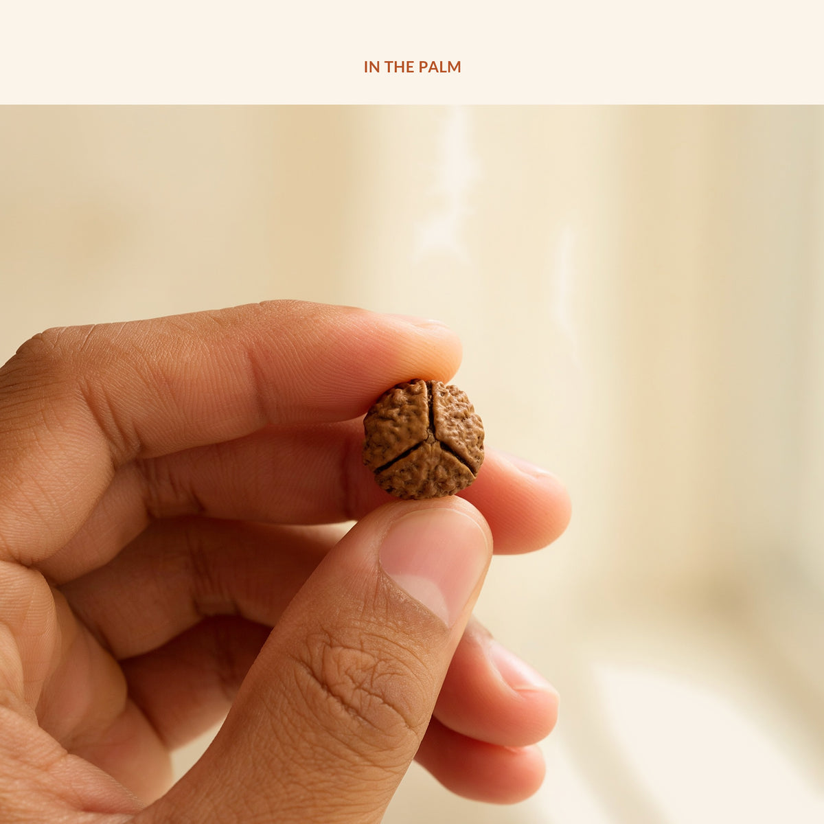 3 Mukhi Rudraksha (Nepal Origin, Lab Certified), in use