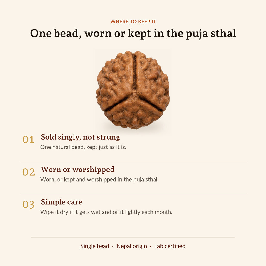 3 Mukhi Rudraksha (Nepal Origin, Lab Certified), size and fit