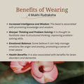 4 Mukhi Rudraksha | Lab Certified