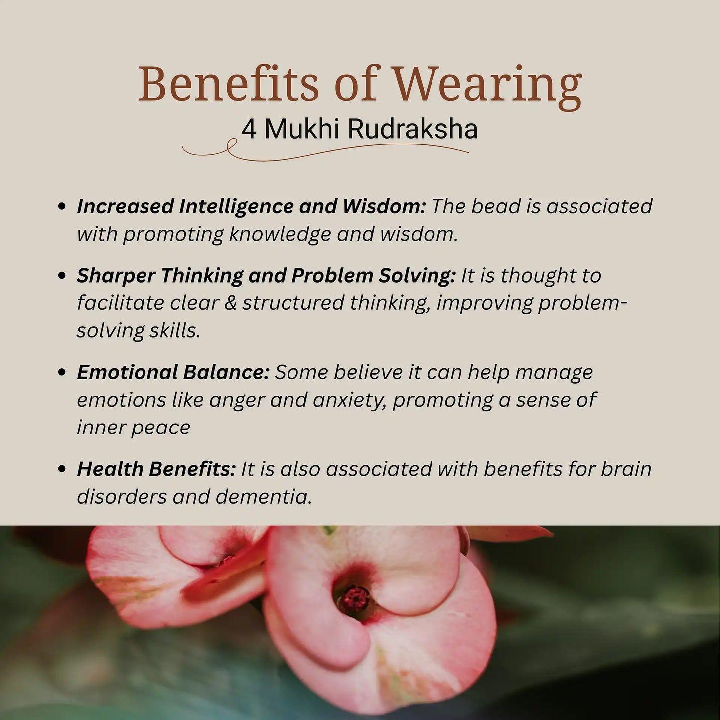 4 Mukhi Rudraksha | Lab Certified