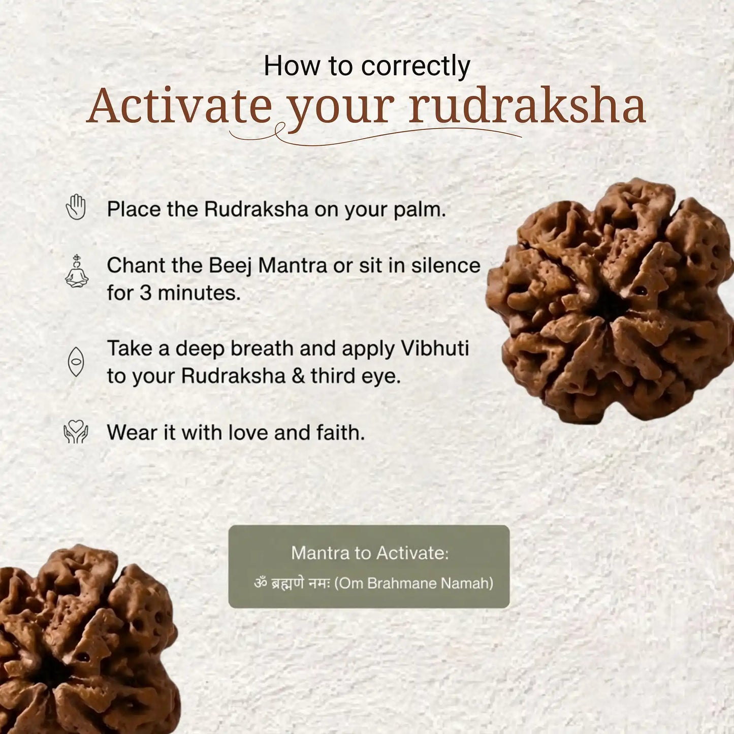 4 Mukhi Rudraksha | Lab Certified