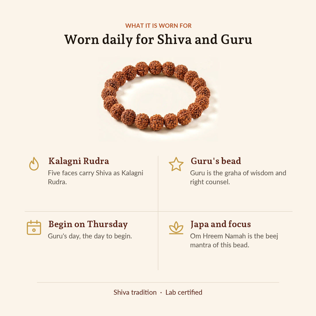 5 Mukhi Rudraksha Bracelet, what it is worn for