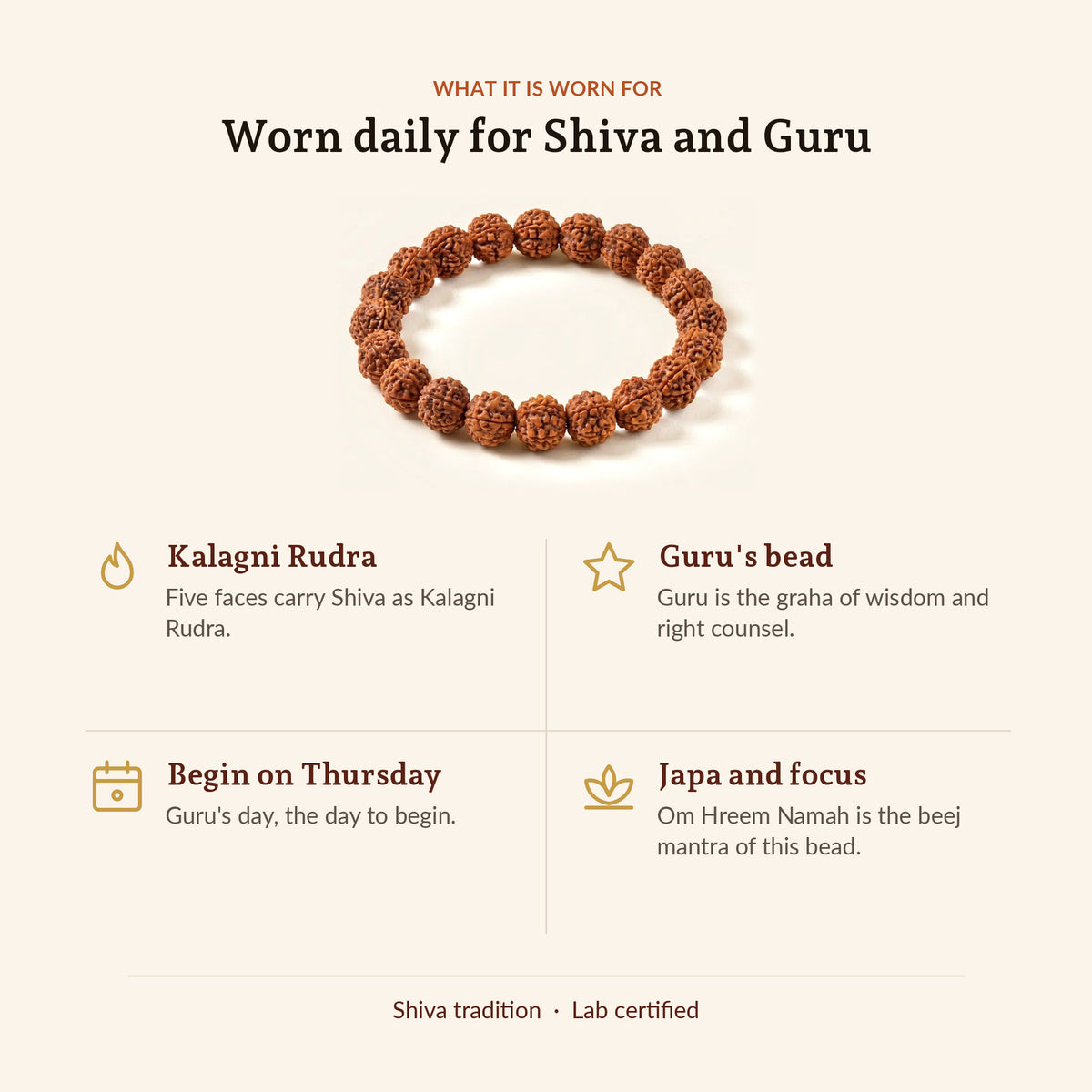 5 Mukhi Rudraksha Bracelet, what it is worn for