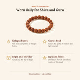 5 Mukhi Rudraksha Bracelet, what it is worn for