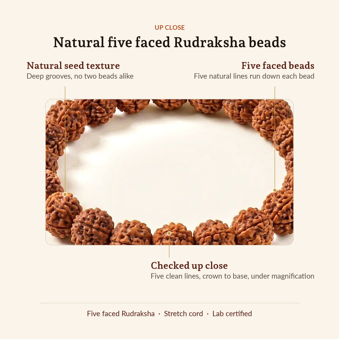 5 Mukhi Rudraksha Bracelet, up close