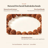 5 Mukhi Rudraksha Bracelet, up close