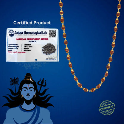 Gold Plated 5 Mukhi Rudraksha Mala