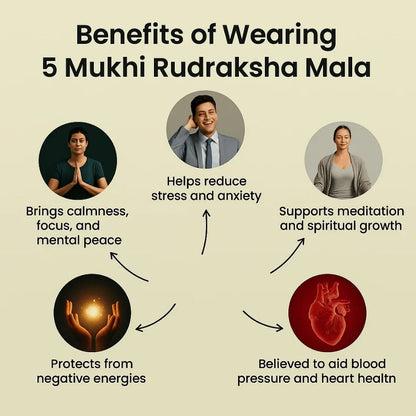 Gold Plated 5 Mukhi Rudraksha Mala