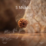 Karungali Mala, Karungali Bracelet & 5 Mukhi Rudraksha Bracelet Combo