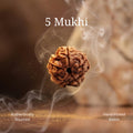 Karungali Mala, Karungali Bracelet & 5 Mukhi Rudraksha Bracelet Combo