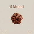 Karungali Mala, Karungali Bracelet & 5 Mukhi Rudraksha Bracelet Combo