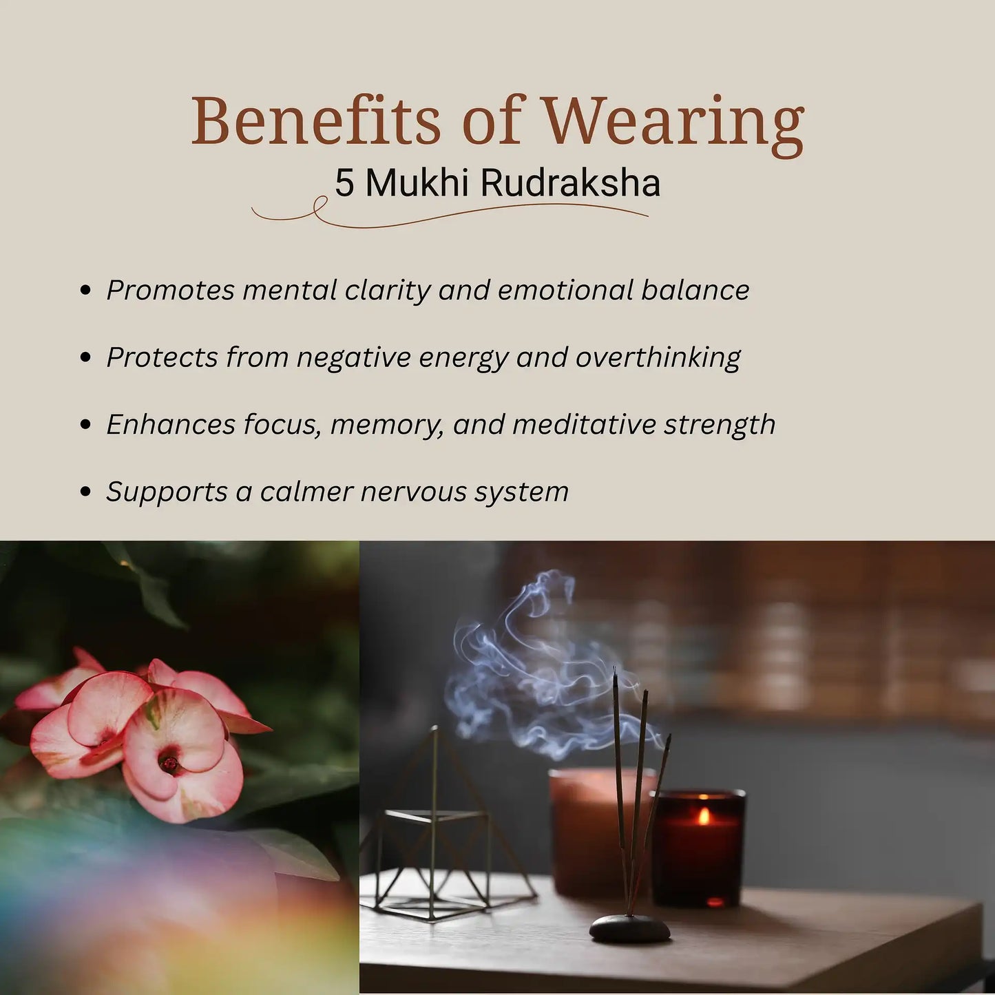 5 Mukhi Rudraksha | Lab Certified