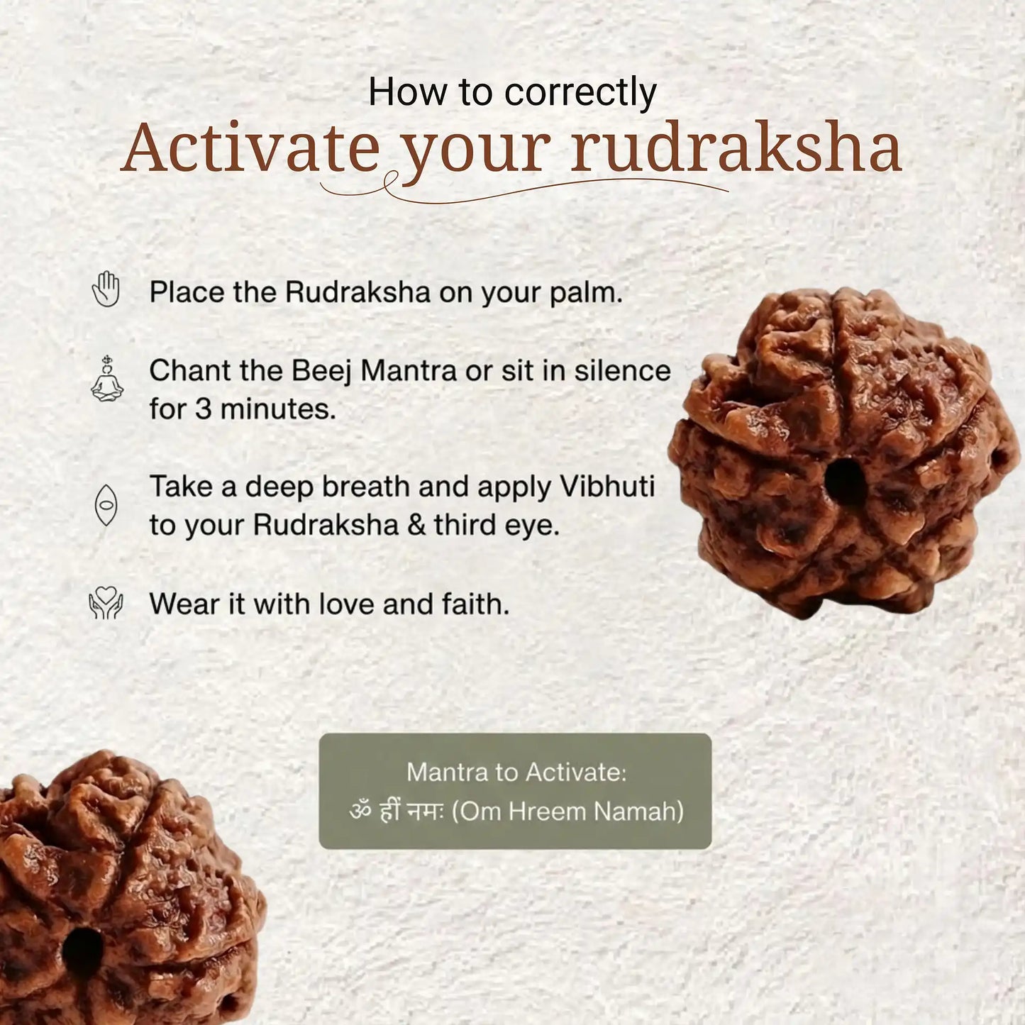 5 Mukhi Rudraksha | Lab Certified