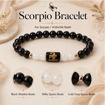 Scorpio Fortune Combo – Aloe Vera Plant & Zodiac Bracelet - 4