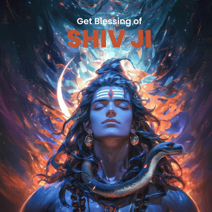 7 Mukhi Rudraksha Beads Bracelet