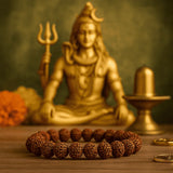 9 Mukhi Rudraksha Beads Bracelet