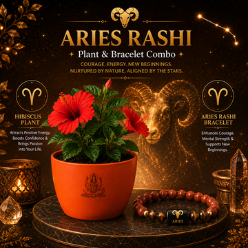 Aries Victory Combo – Hibiscus Plant & Zodiac Bracelet - 1