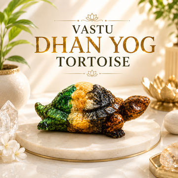 Vastu Dhan Yog Tortoise - 1