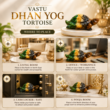 Vastu Dhan Yog Tortoise - 4