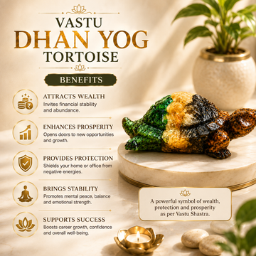 Vastu Dhan Yog Tortoise - 3