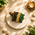 Vastu Dhan Yog Tortoise