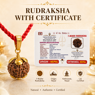 7 Mukhi Rudraksha Pendent Golden - 3