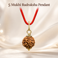 5 Mukhi Rudraksha pendent