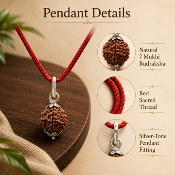 7 Mukhi Rudraksha Pendent - 2