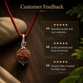 7 Mukhi Rudraksha Pendent