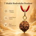 Divine Aura 7 Mukhi Rudraksha Pendant & Gold-Plated Bracelet Combo