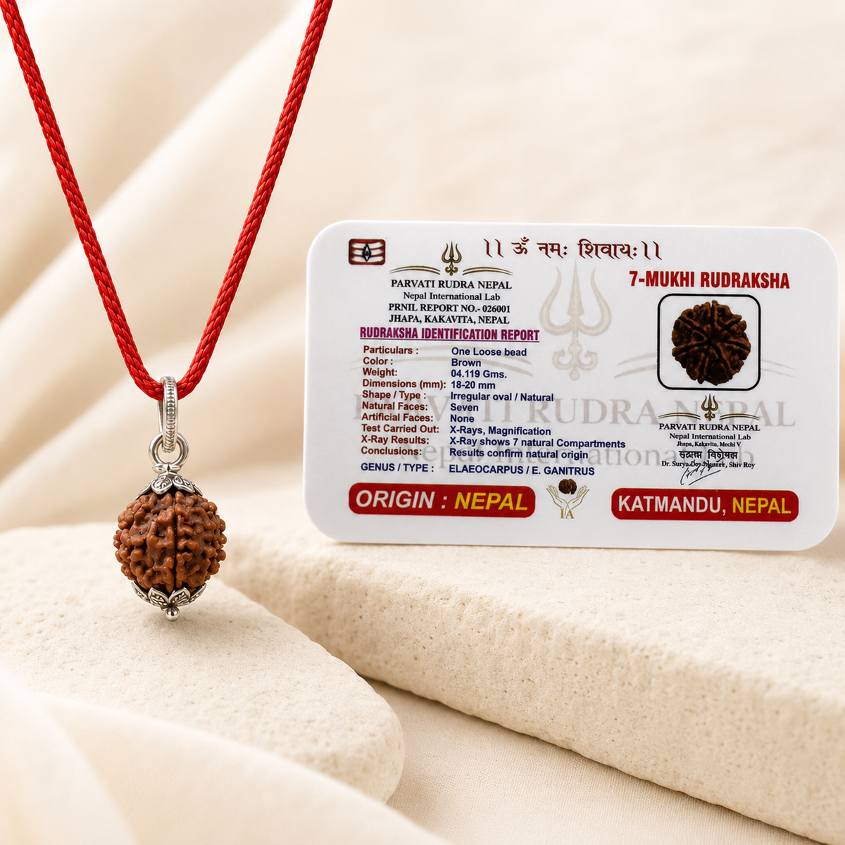 7 Mukhi Rudraksha Pendent
