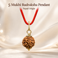5 Mukhi Rudraksha pendent
