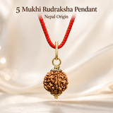5 Mukhi Rudraksha pendent