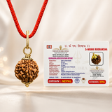 5 Mukhi Rudraksha pendent