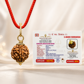 5 Mukhi Rudraksha pendent - 4