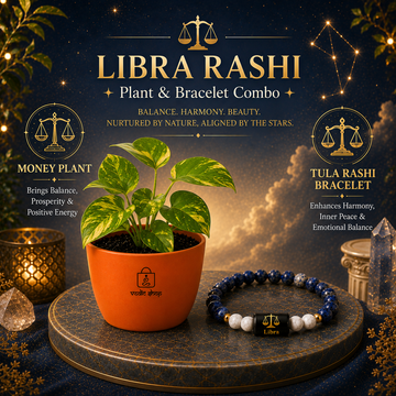 Libra Rashi Prosperity Combo – Money Plant & Zodiac Bracelet - 1